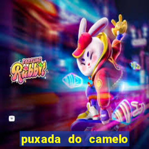 puxada do camelo jogo do bicho